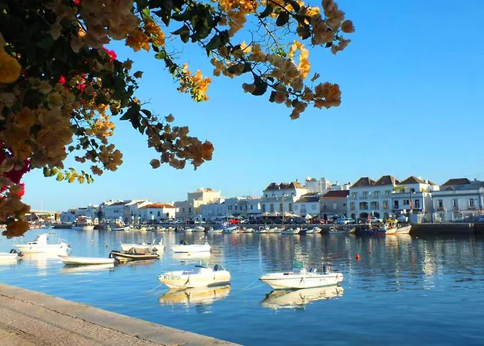 Cinco Botelho, Town Centre